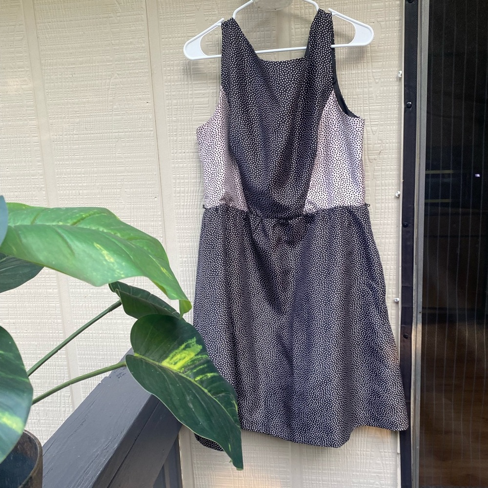 Gabby Skye dress
